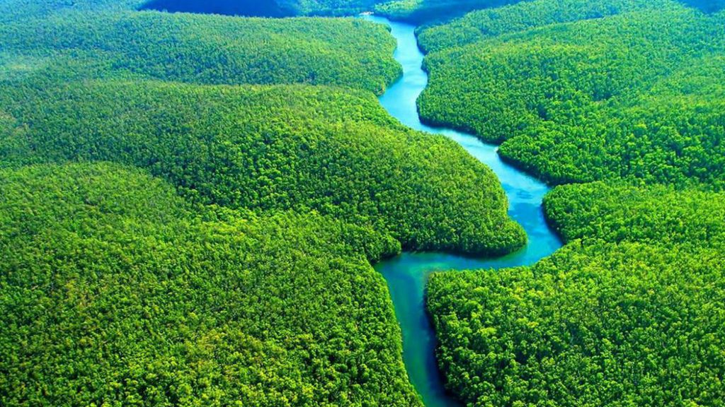 fotos aéreas da floresta amazônica