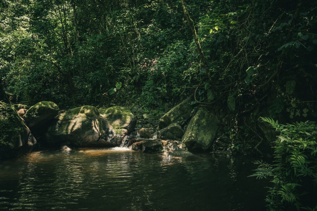 fotos de trilhas na amazônia
