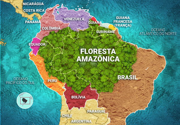 fotos da fauna amazônica brasileira