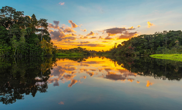 fotos de paisagens amazônicas ao amanhecer/pôr do sol