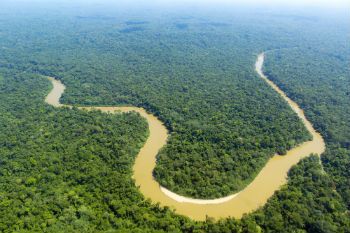 fotos de trilhas na amazônia
