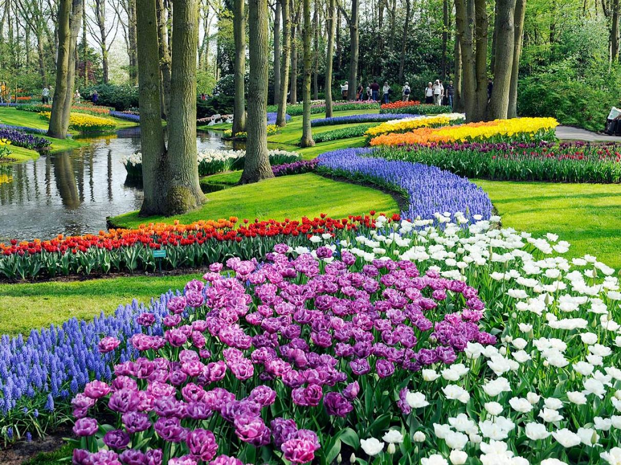 ideias de fotos de jardins floridos para inspiração