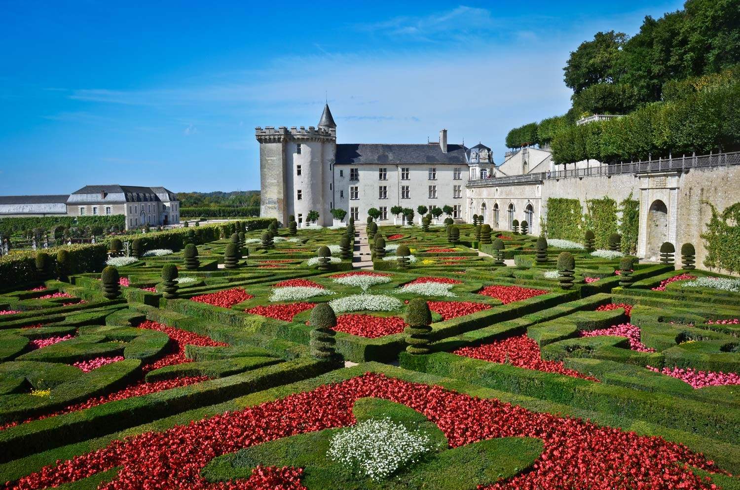 fotos de jardins floridos pequenos para varandas