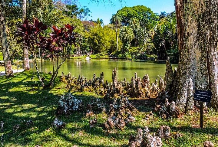 fotos de jardins floridos pequenos para varandas