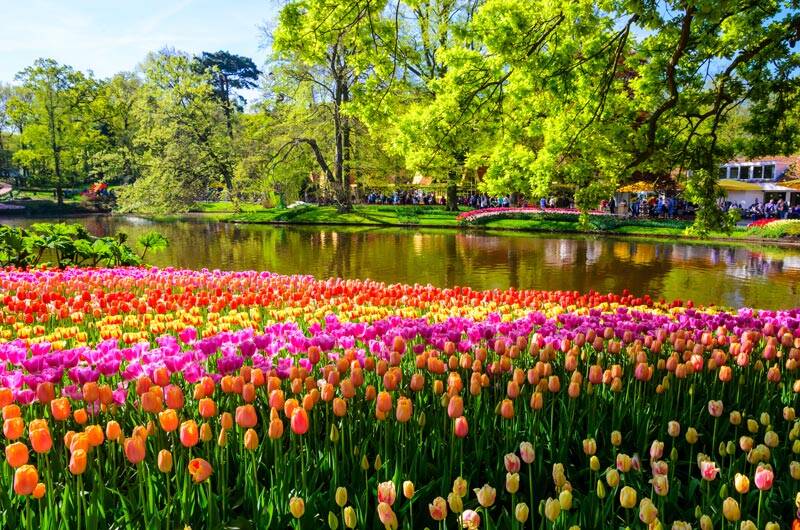 fotos de belos jardins floridos