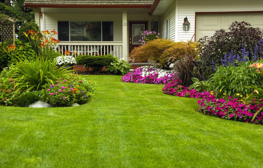 ideias de fotos de jardins floridos para inspiração