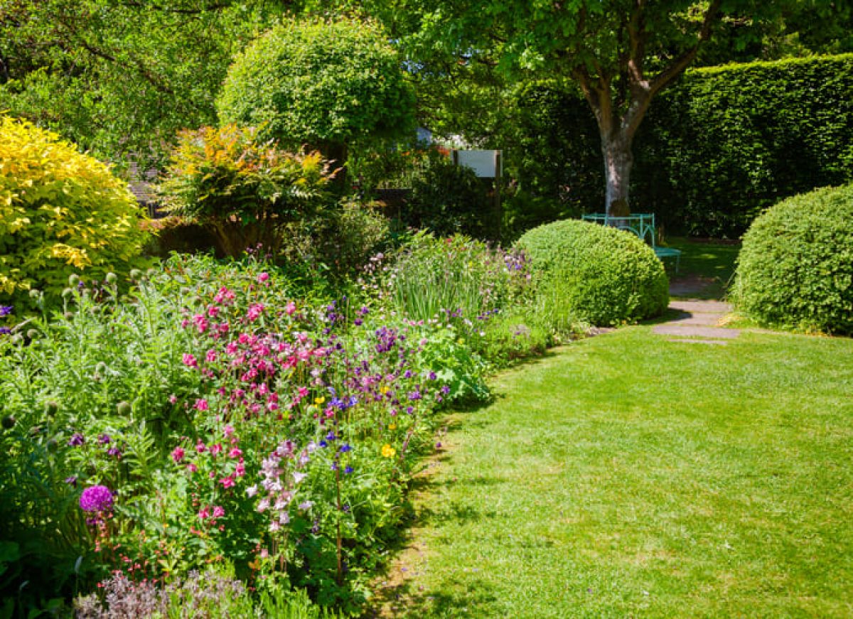erros comuns ao fotografar jardins floridos