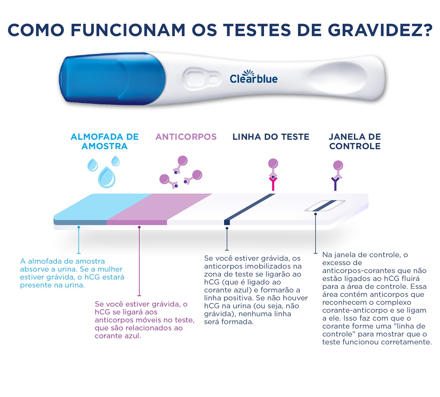 hcg o que é