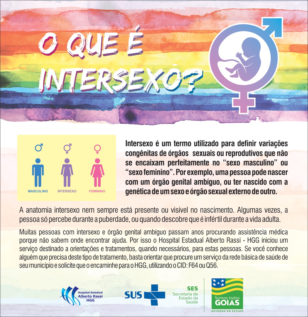 intersexo vs transexual qual a diferenca