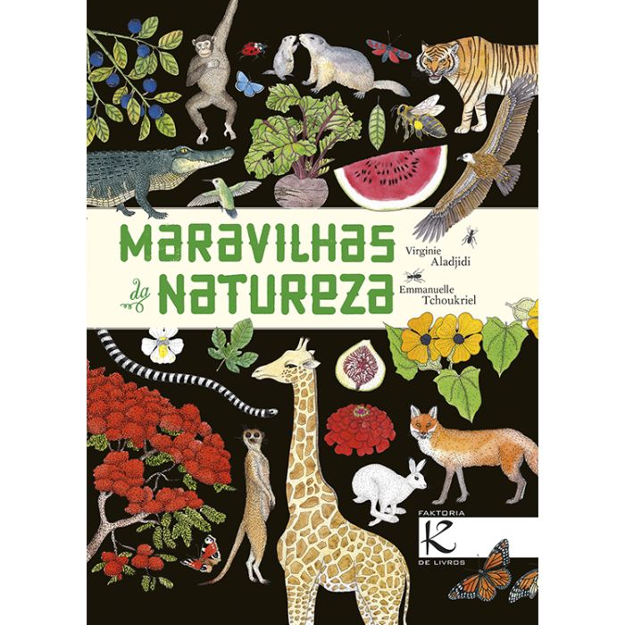 custo médio para conhecer as 7 maravilhas naturais