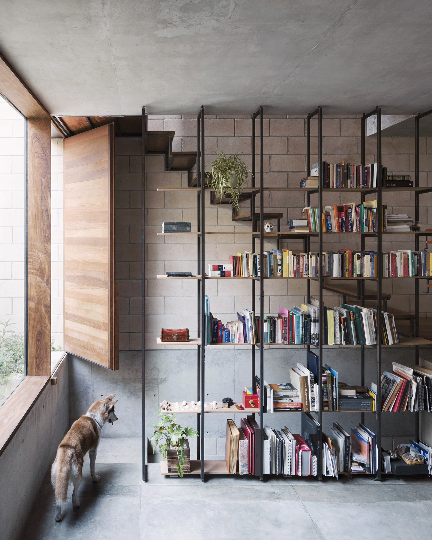 inspiração looks moda bibliotecário