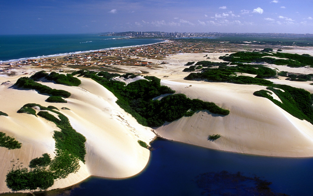 maior cajueiro do mundo pirangi