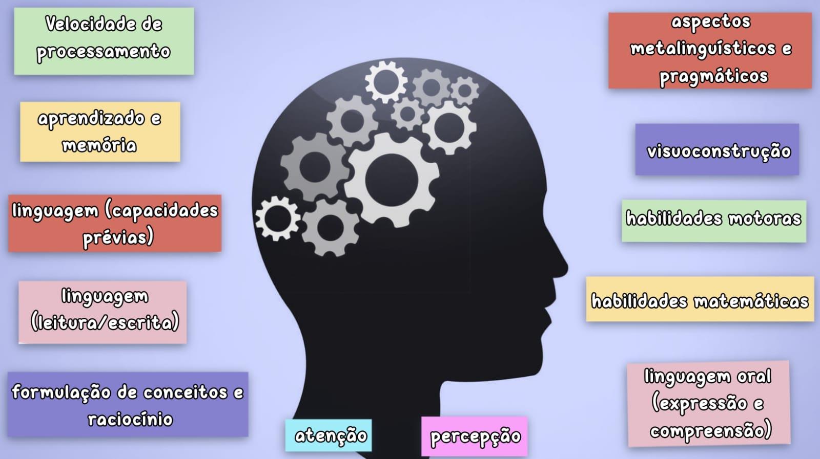 Neurociência e Direito de Família