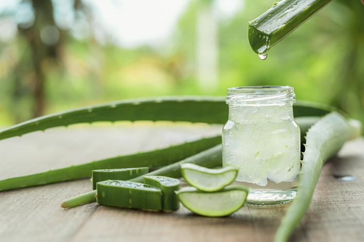 o que é aloe vera