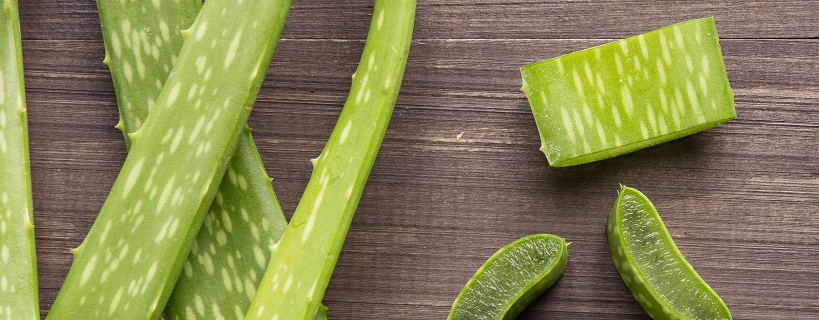 erros comuns ao usar aloe vera no cabelo
