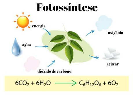 o que é carbono