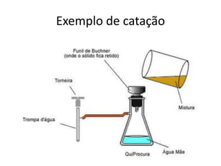 exemplos de catação no dia a dia