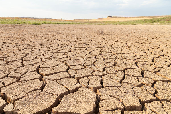 causas da desertificação