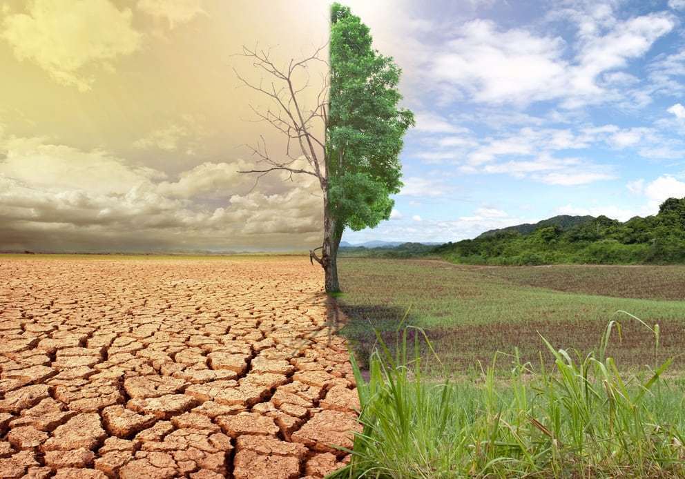 combate à desertificação