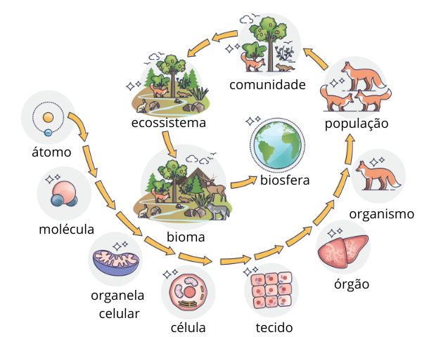 o que é ecologia