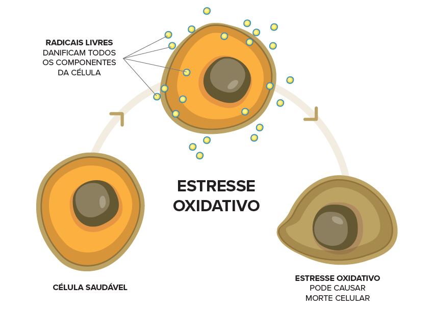 o que é estresse oxidativo