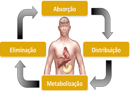 tipos de farmacologia e para que servem