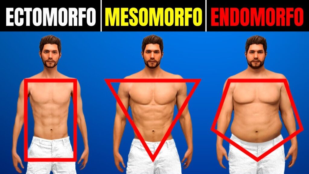 erros comuns dieta mesomorfo