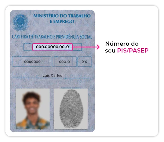 como consultar pis pelo cpf