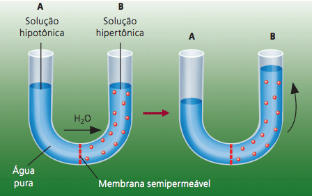 meio hipotônico