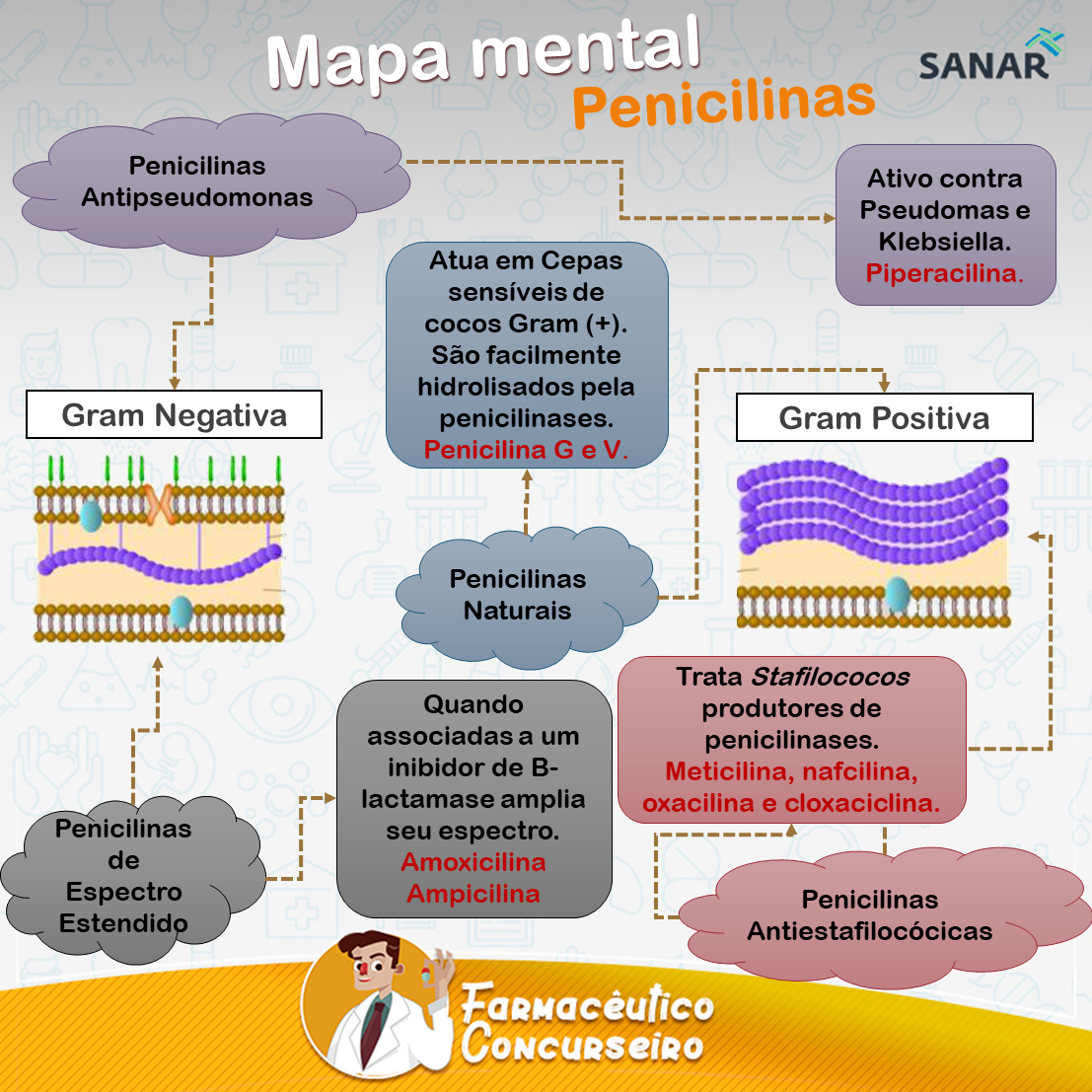 o que é penicilina