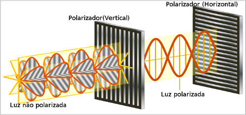 o que causa polarização política