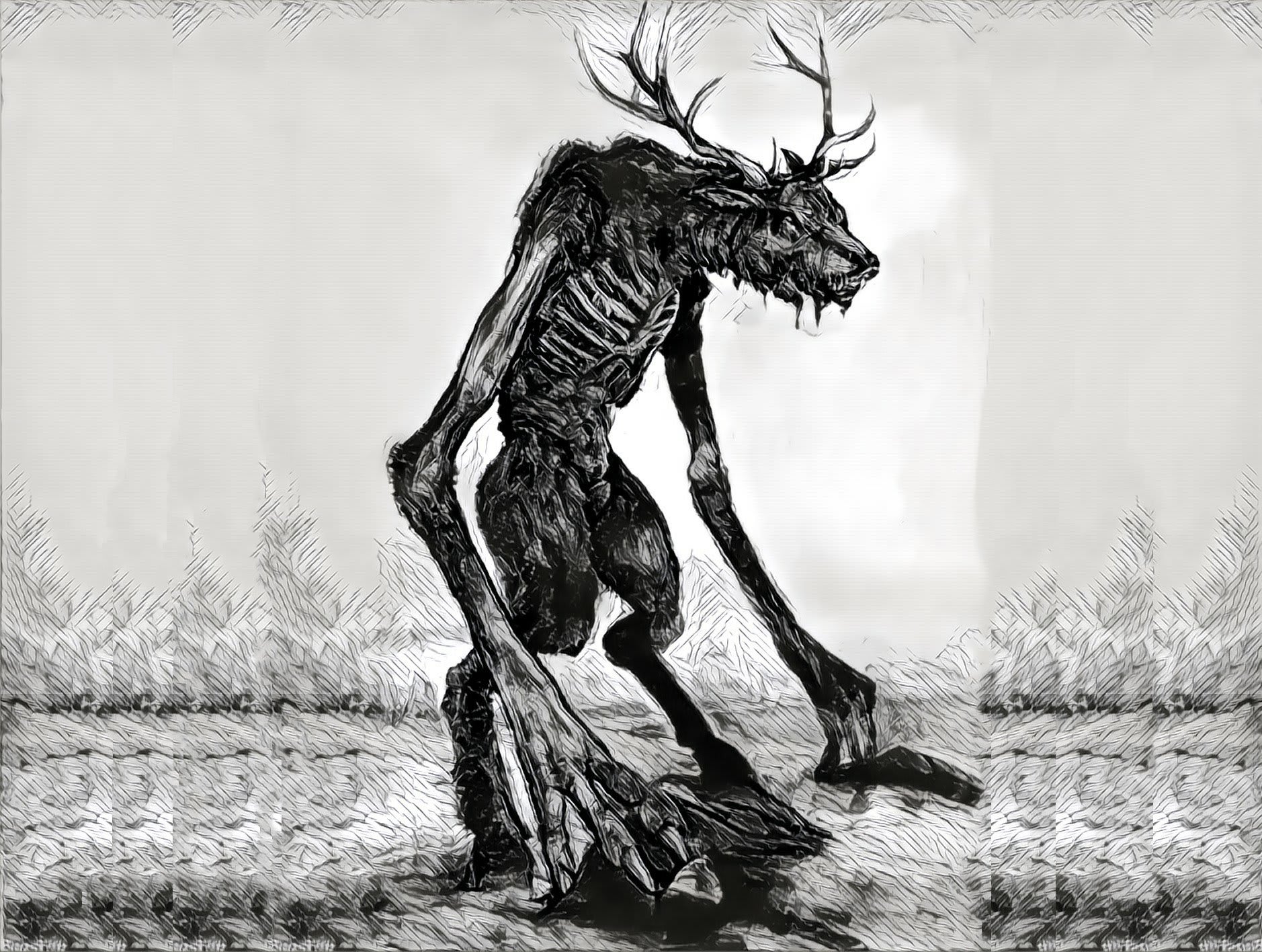 erros comuns sobre a lenda do skinwalker