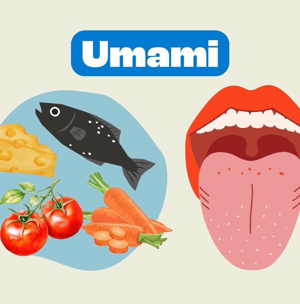 umami vs salgado