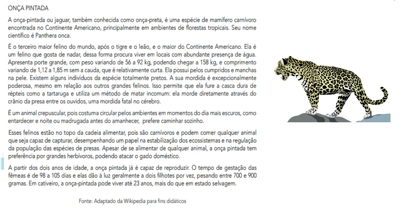 verbete de dicionário vs verbete de enciclopédia