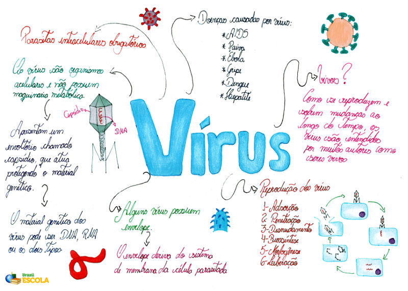 tipos de virus e doenças que causam