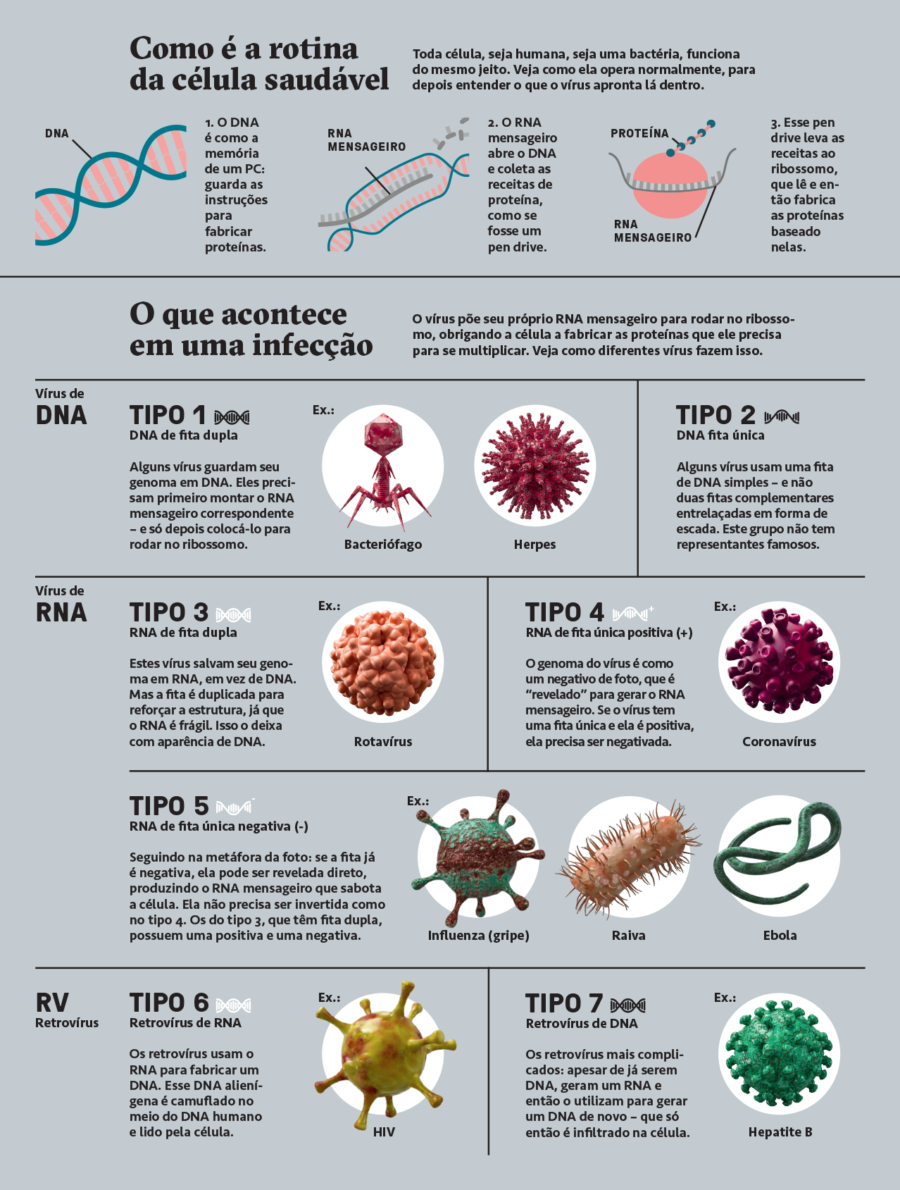 erros comuns sobre como os virus se espalham
