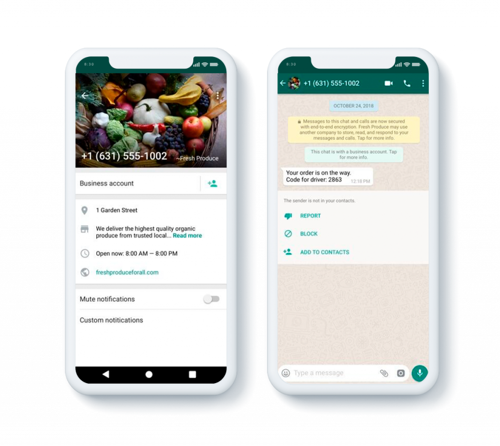 melhores dicas whatsapp business para iniciantes