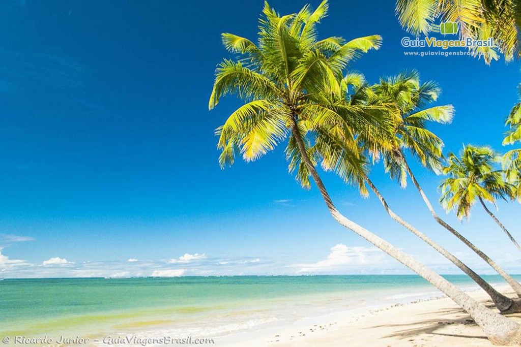 o que fazer em praia do patacho