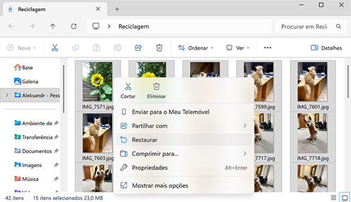 melhores programas para recuperar arquivos deletados do pc grátis